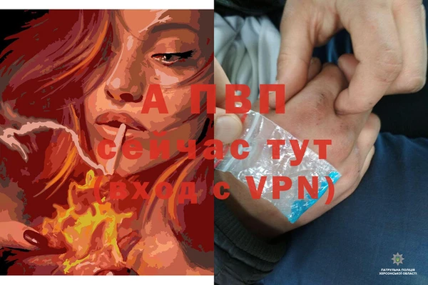 скорость Дмитриев