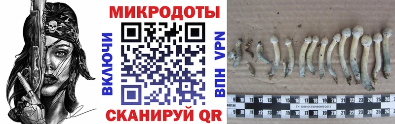 Галлюциногенные грибы ЛСД  hydra tor  Тула 