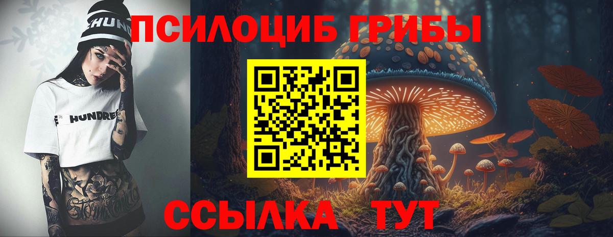 Псилоцибиновые грибы мухоморы  Вход с VPN  Псилоцибиновые грибы MAGIC MUSHROOMS  Тула 
