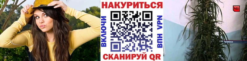 Бошки Шишки Bruce Banner  Тула 