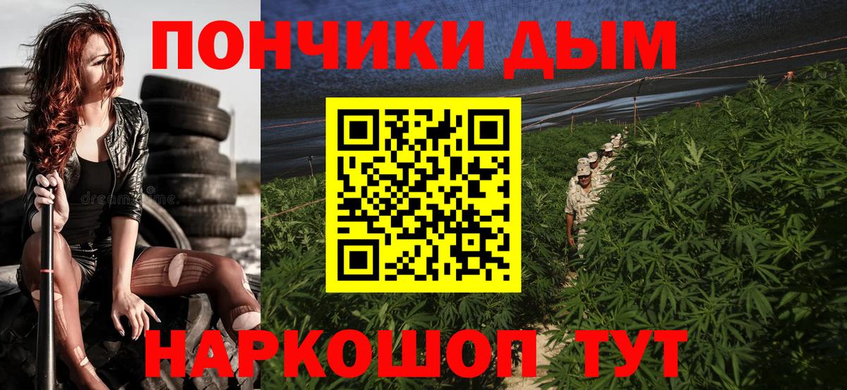 Бошки марихуана план  Вход с VPN  Конопля ГИДРОПОН  Тула  Каннабис OG Kush 